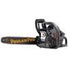 Thumbnail Poulan Poulan Pro 4200, 4400, 4900 Chainsaw Factory Service Repair Workshop Manual Download PDF Thumbnail Poulan Poulan Pro 4200, 4400, 4900 Chainsaw Factory Service Repair Workshop Manual Download PDF